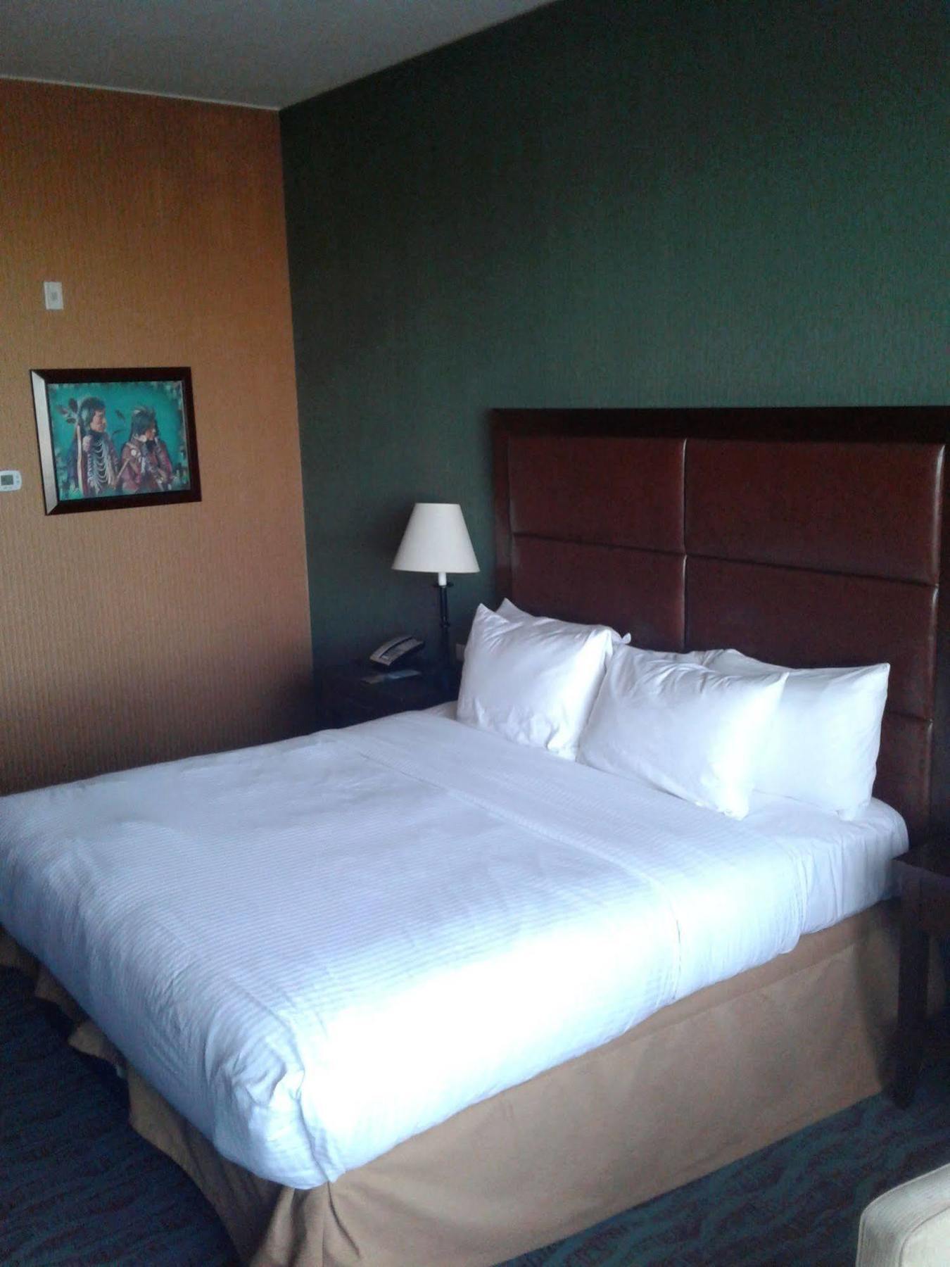 Fort Hall Shoshone-Bannock Hotel And Event Center מראה חיצוני תמונה
